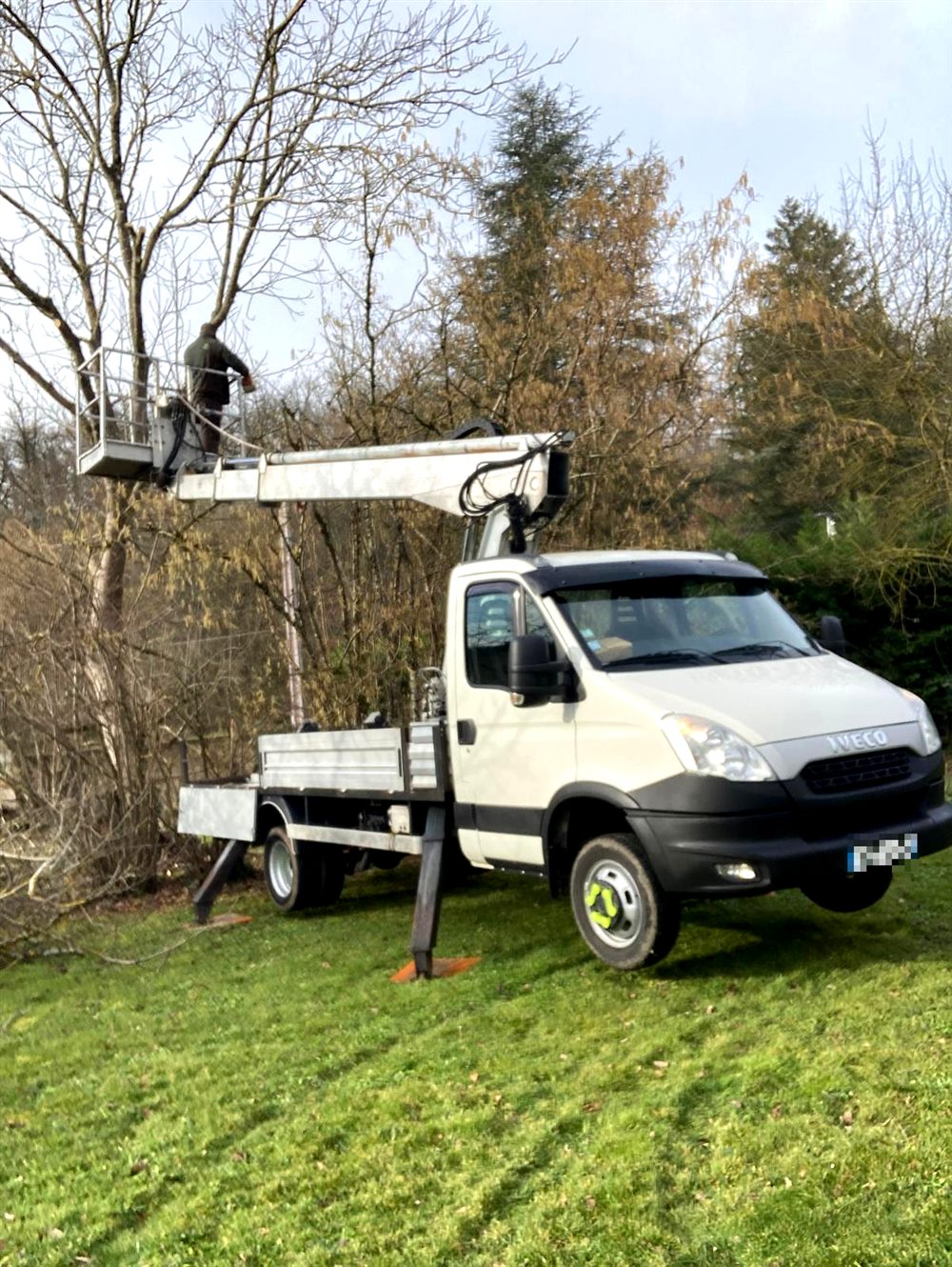 Notre camion-nacelle avec un opérateur dans le panier, en train d'élaguer un grand arbre